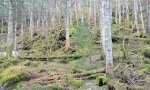 F143XY903ME - Mt Washington NH - 5.17.2024 - 1.3