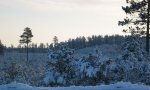 IMG_0513